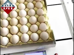 Kleiner Ei-Tintenstrahldrucker Xy-Achse Intelligenter Ei-Tintenstrahldrucker vollautomatisch